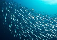 iStock-495295094.jpg iStock-495295094.jpg